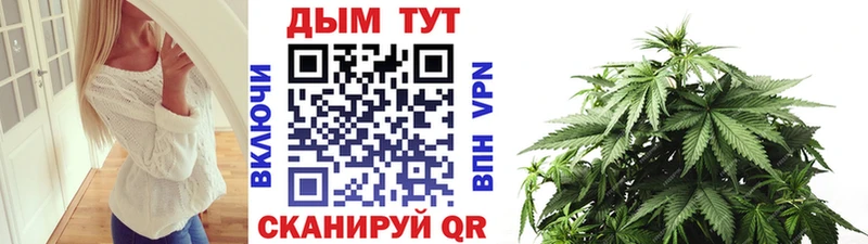 Где купить Кондопога КОКАИН A PVP АМФЕТАМИН Псилоцибиновые грибы Меф мяу мяу