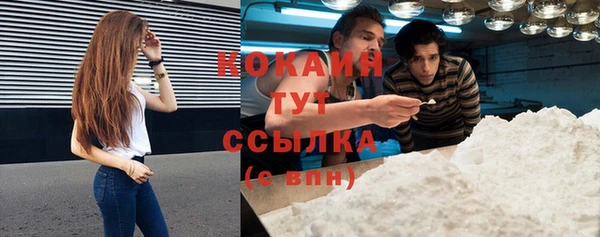 таблы Новозыбков