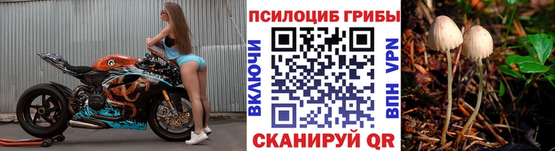 купить наркотик  Кондопога  Галлюциногенные грибы MAGIC MUSHROOMS 