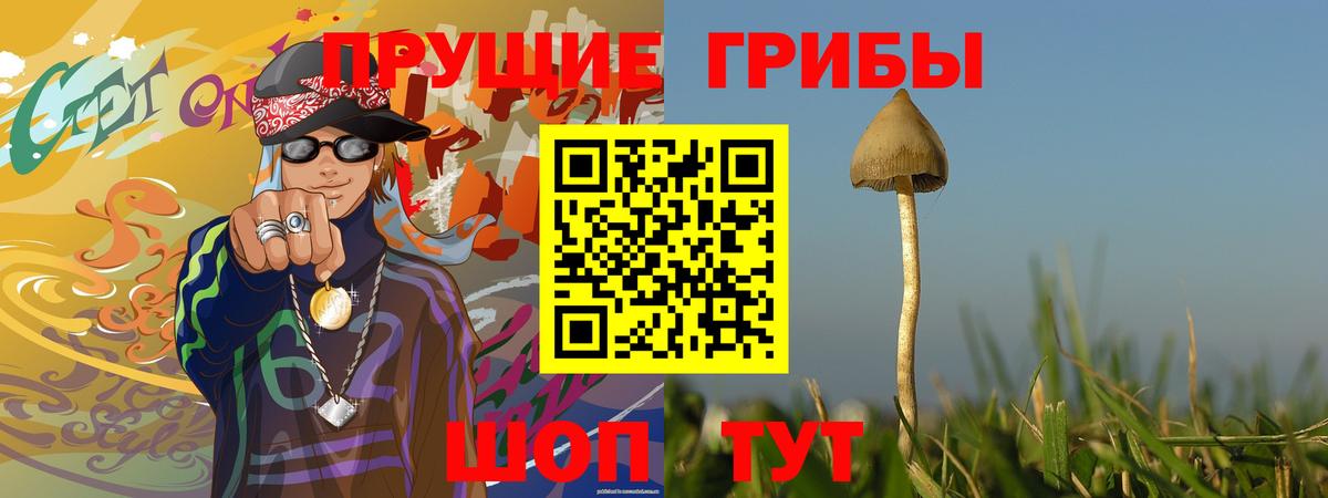 Кондопога  Псилоцибиновые грибы мухоморы  Вход с VPN 